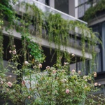 TAM DAO VILLA